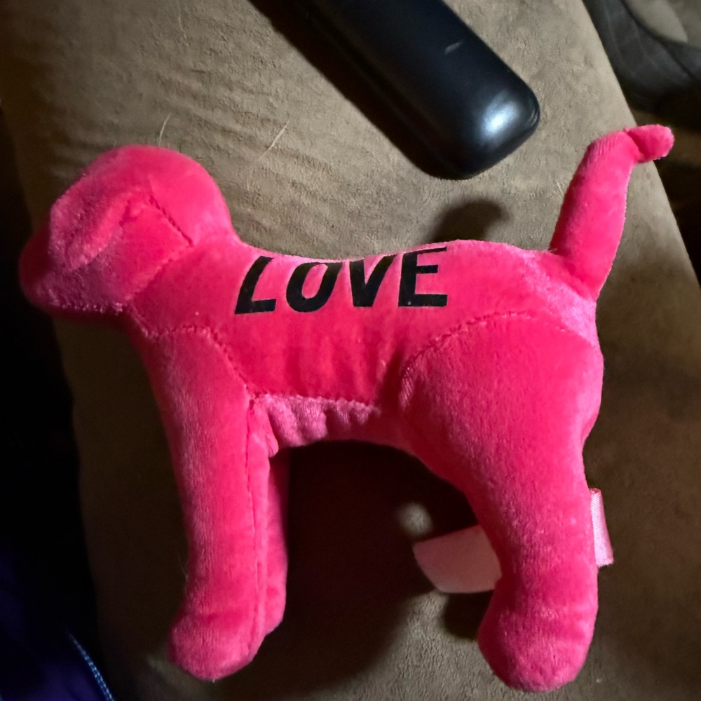 PINK Victoria's Secret Hot Pink Dog